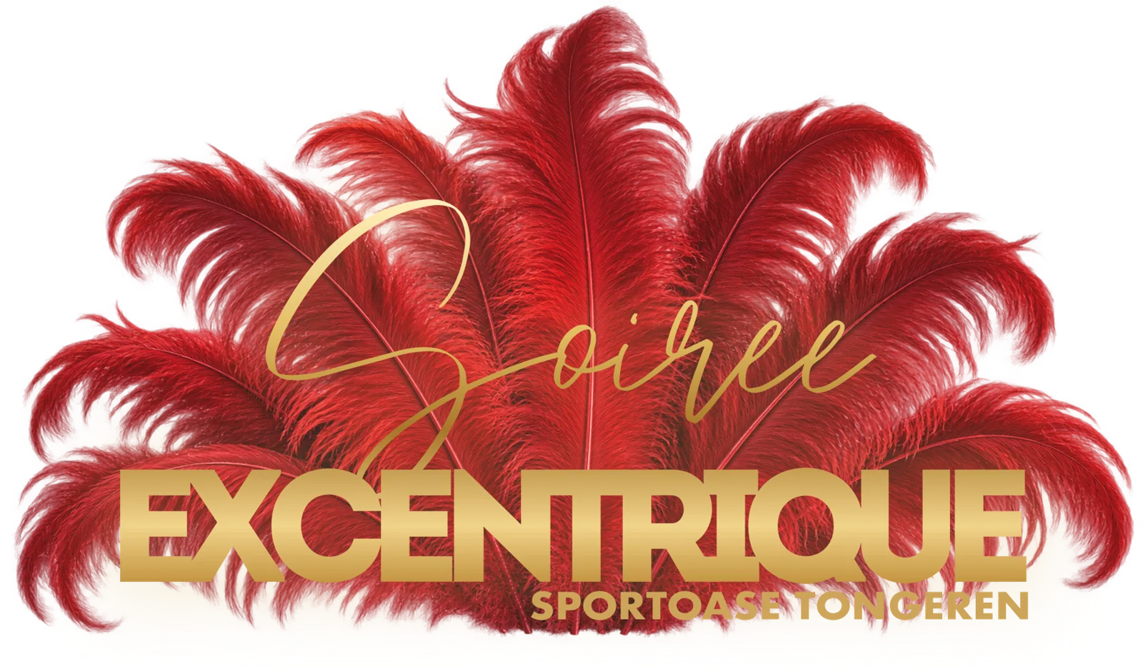 Soirée Excentrique · Sportoase Tongeren